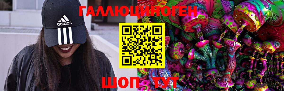 Галлюциногенные грибы Magic Shrooms Гудермес